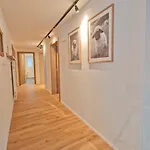 Aeschhorn زيرمات