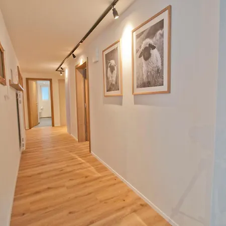 Aeschhorn زيرمات